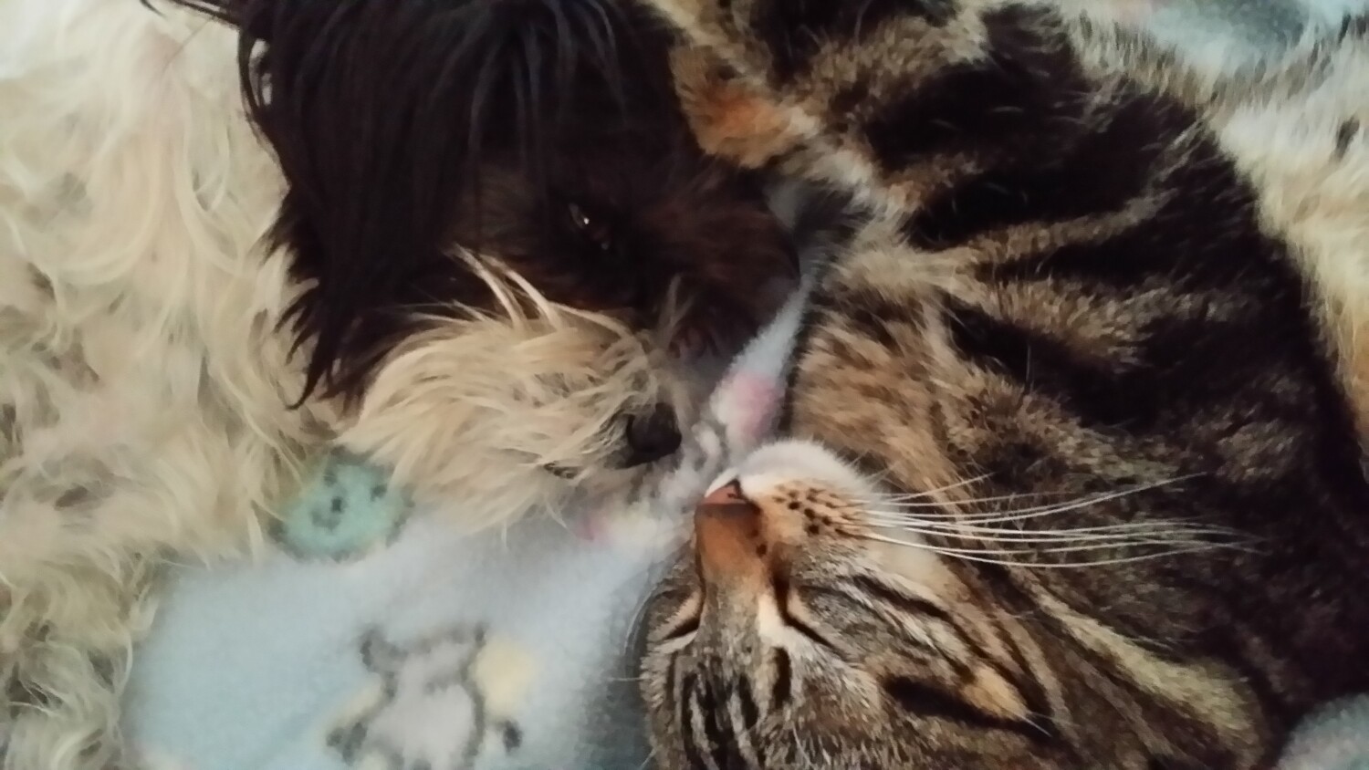 Dottie and Nikkie