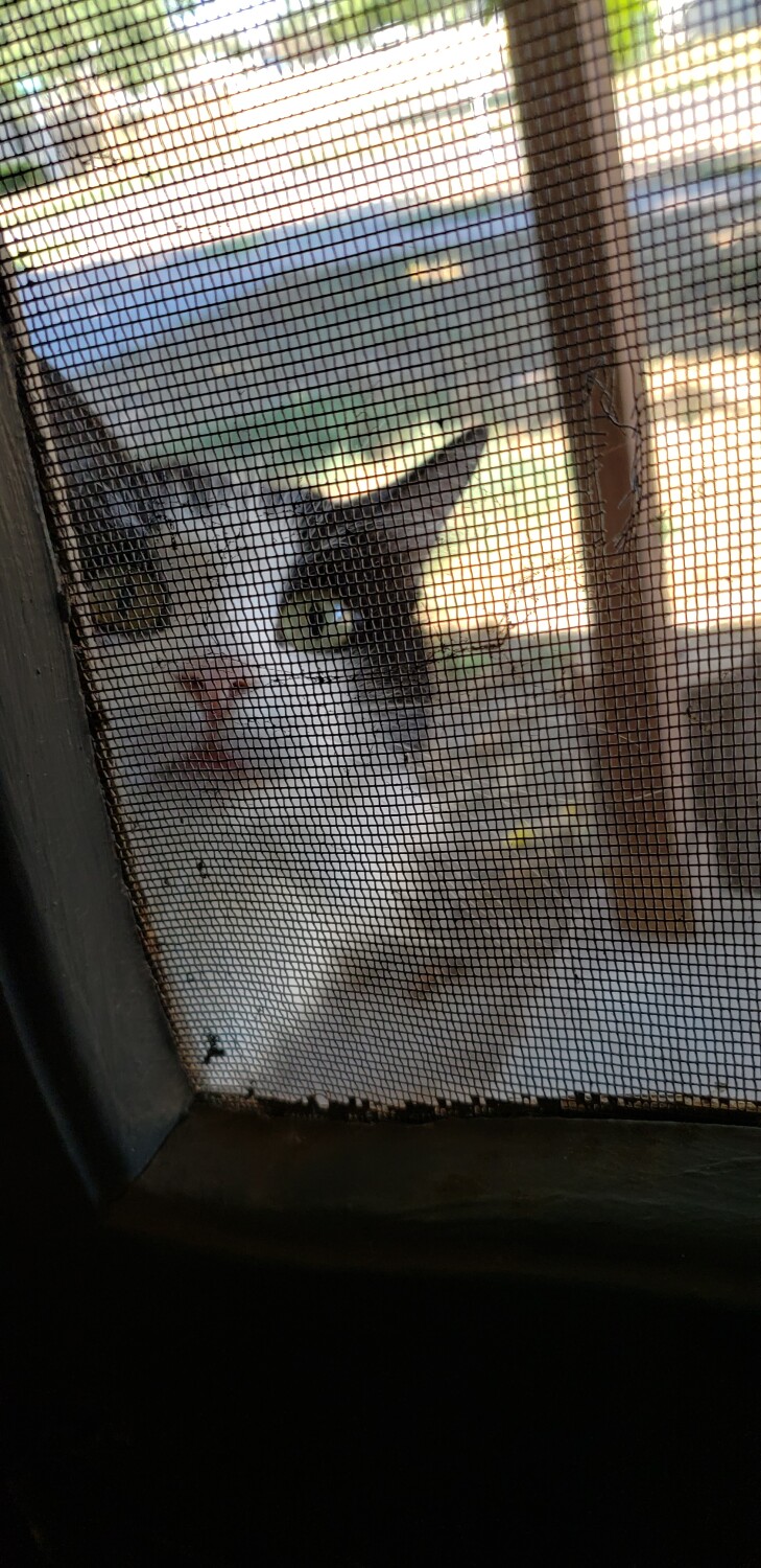 Here I am ready for breakfast