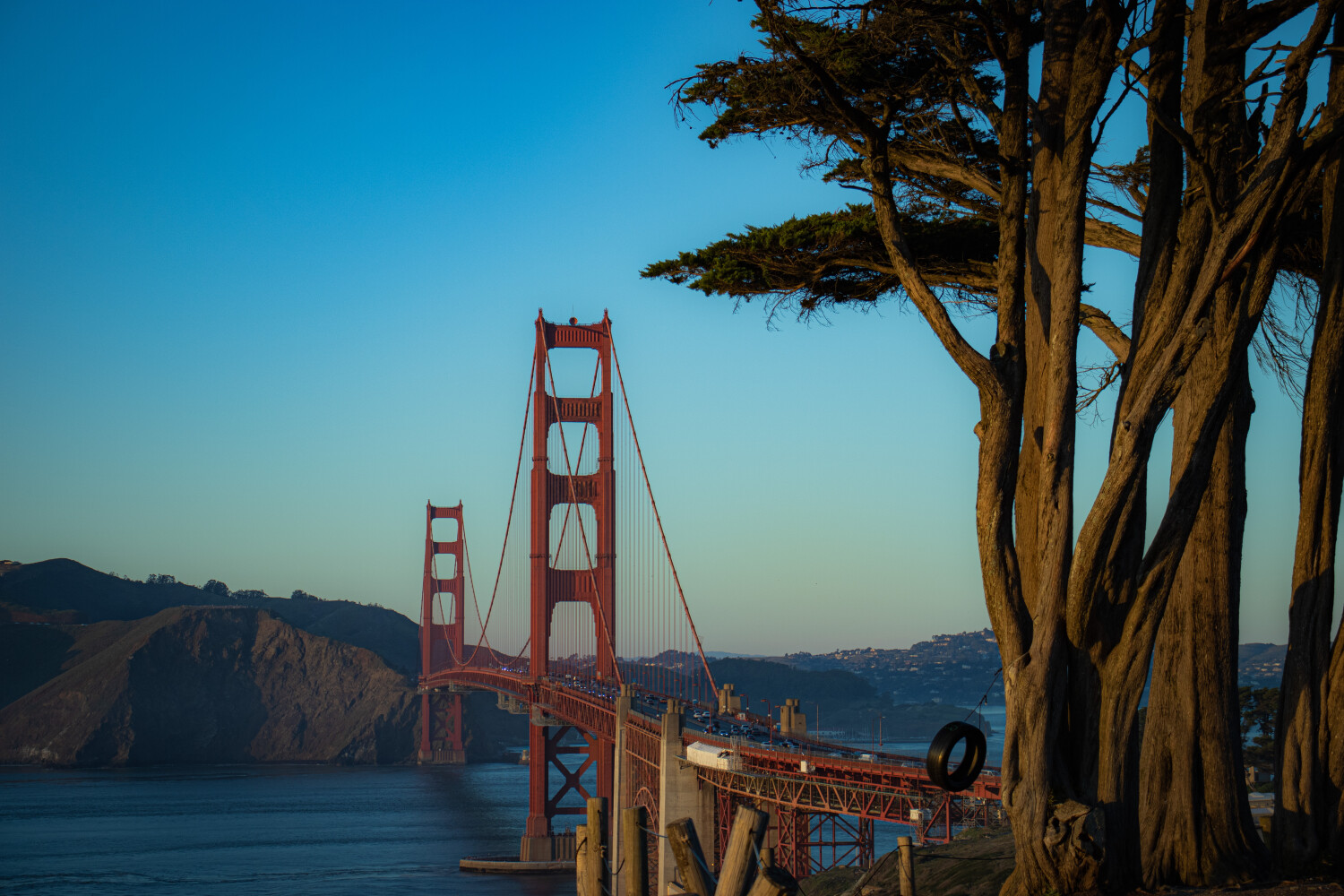 one lonely tire swing