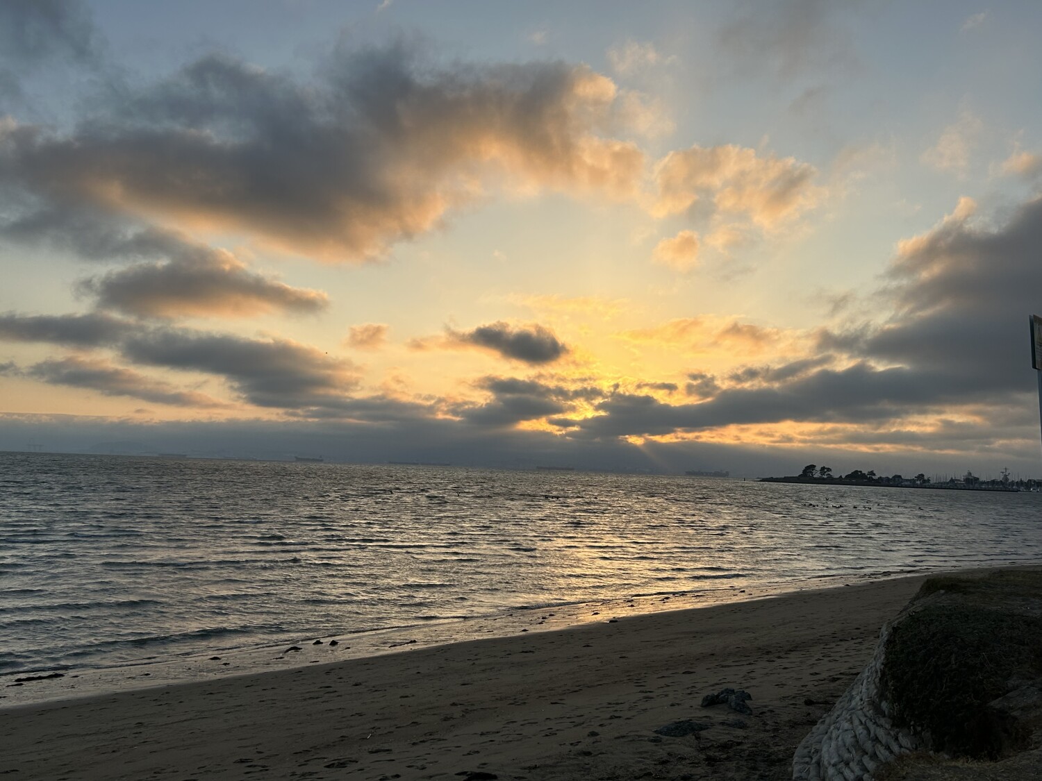 Alameda Sunset
