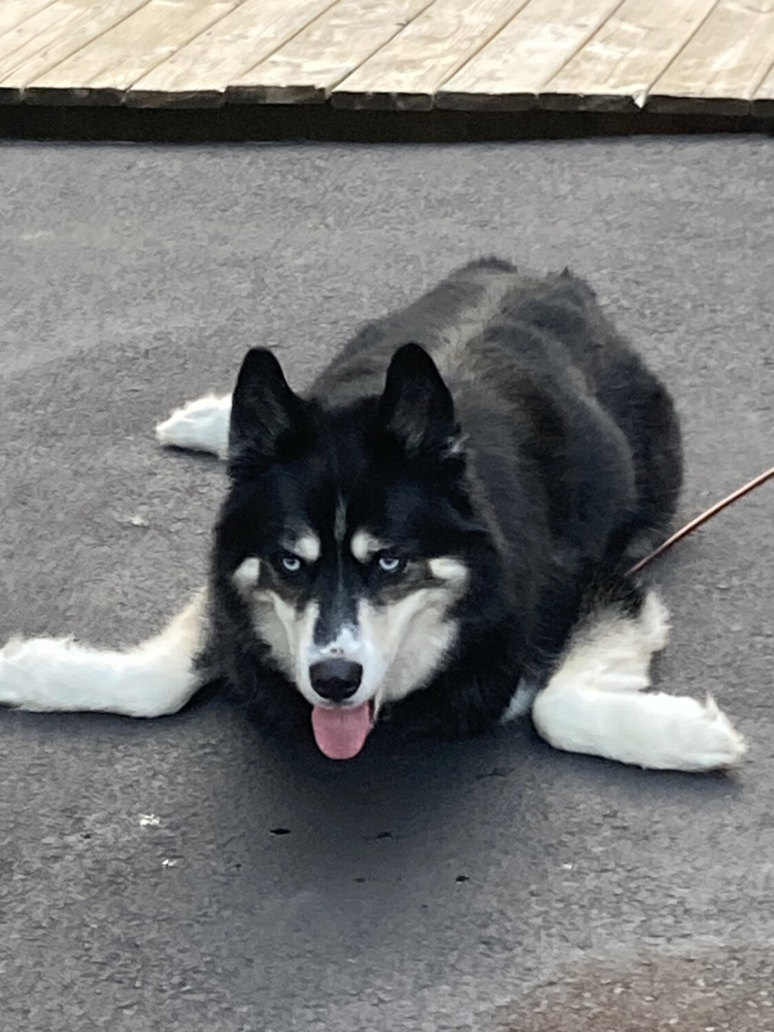 Life is an Adventure