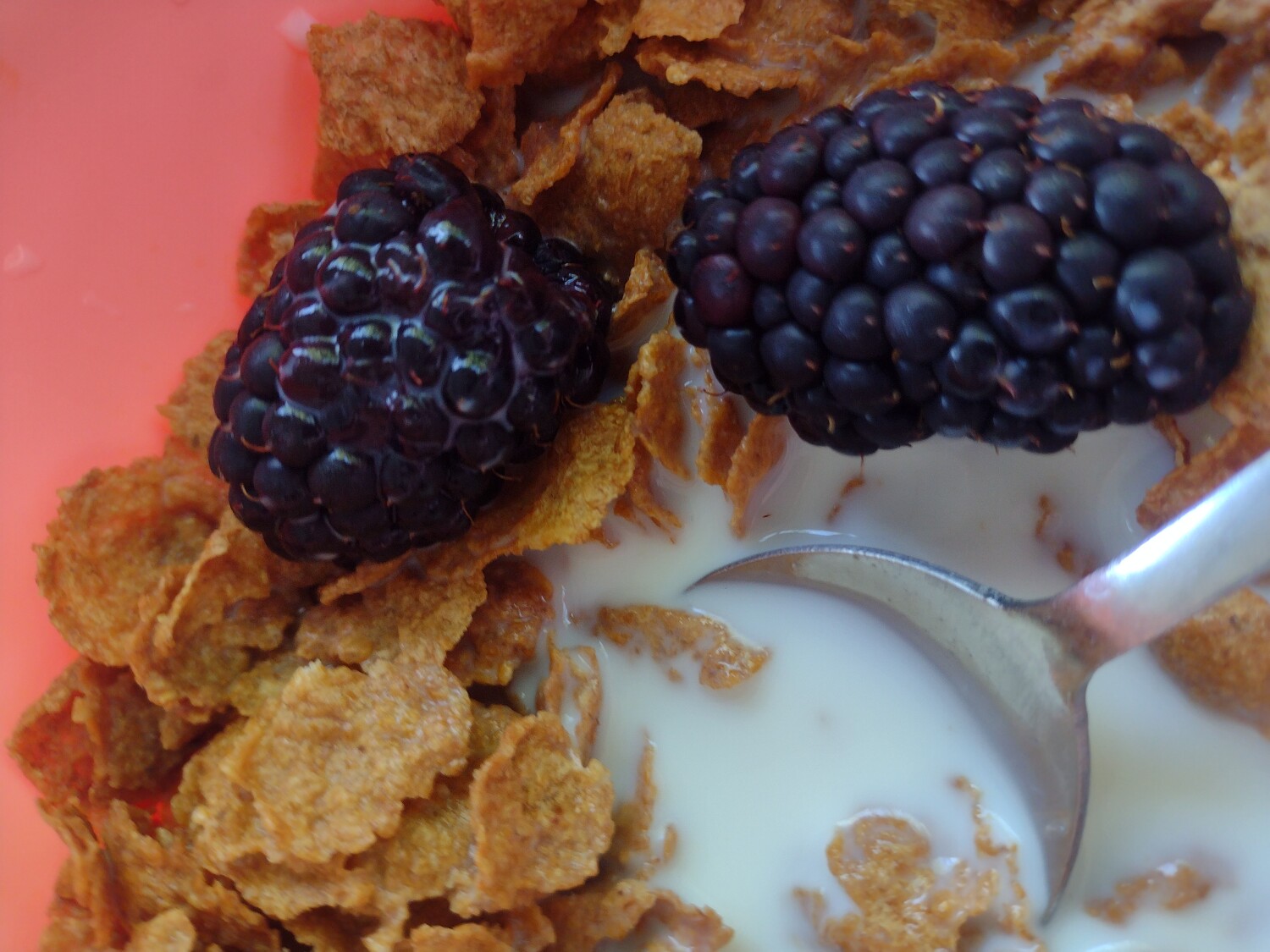 Breakfast in the 90's