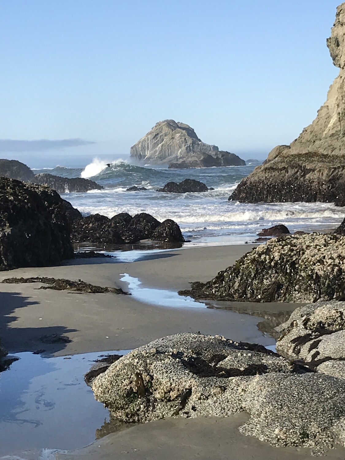 Low Tide at the beach