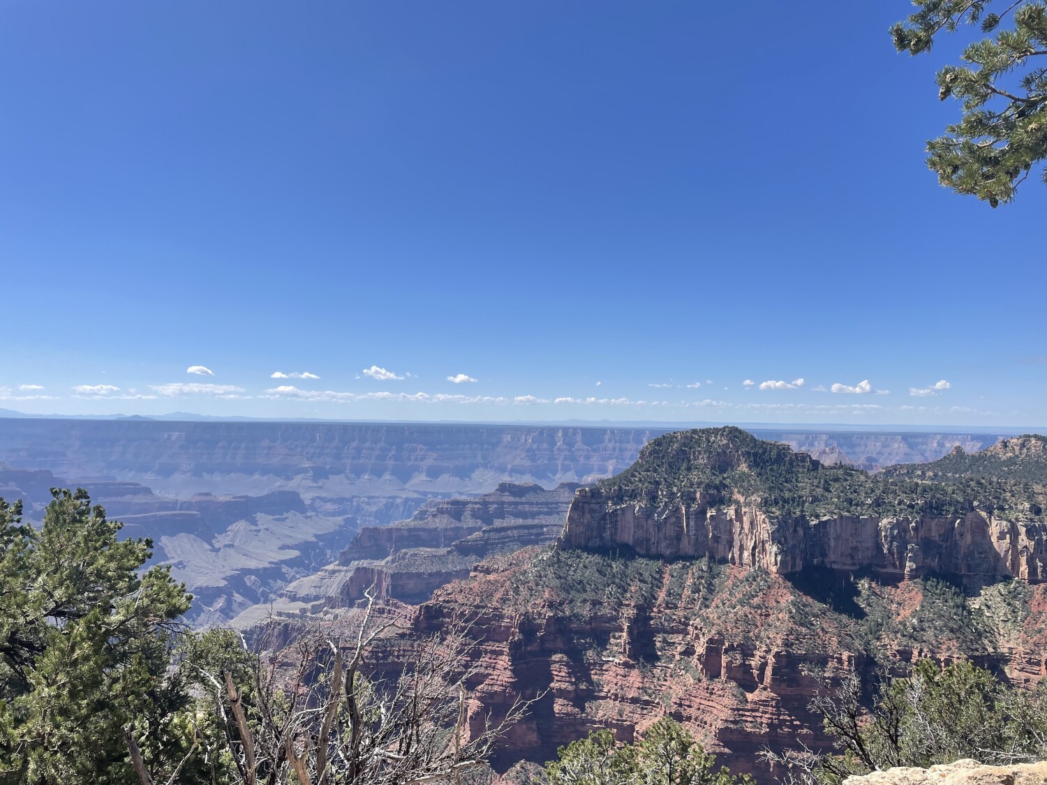 NorthRim Grand Canyon