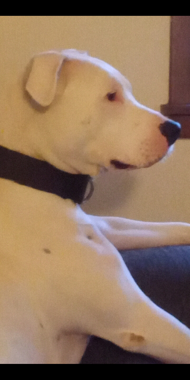 Just chilling and watching TV