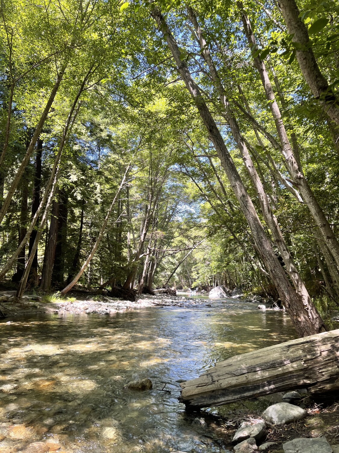 BIG SUR RIVER