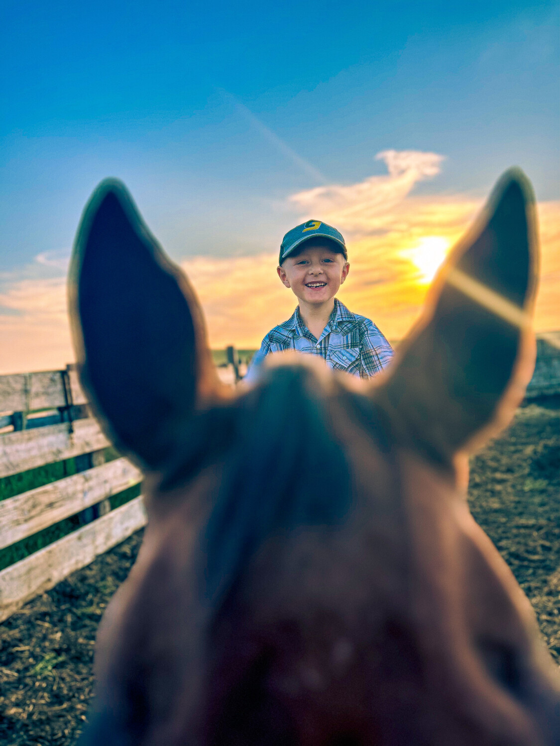 Ears looking at you kid.