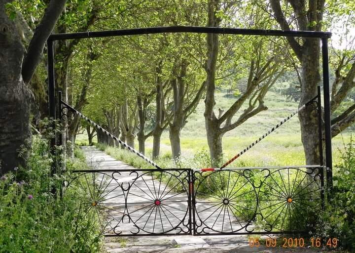 Welcome to Tranquility