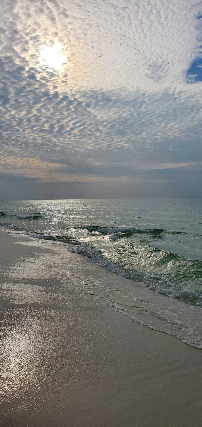 Gulf Shores Navarre, Florida