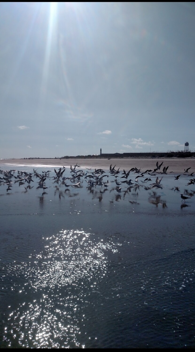 Tybee Island GA