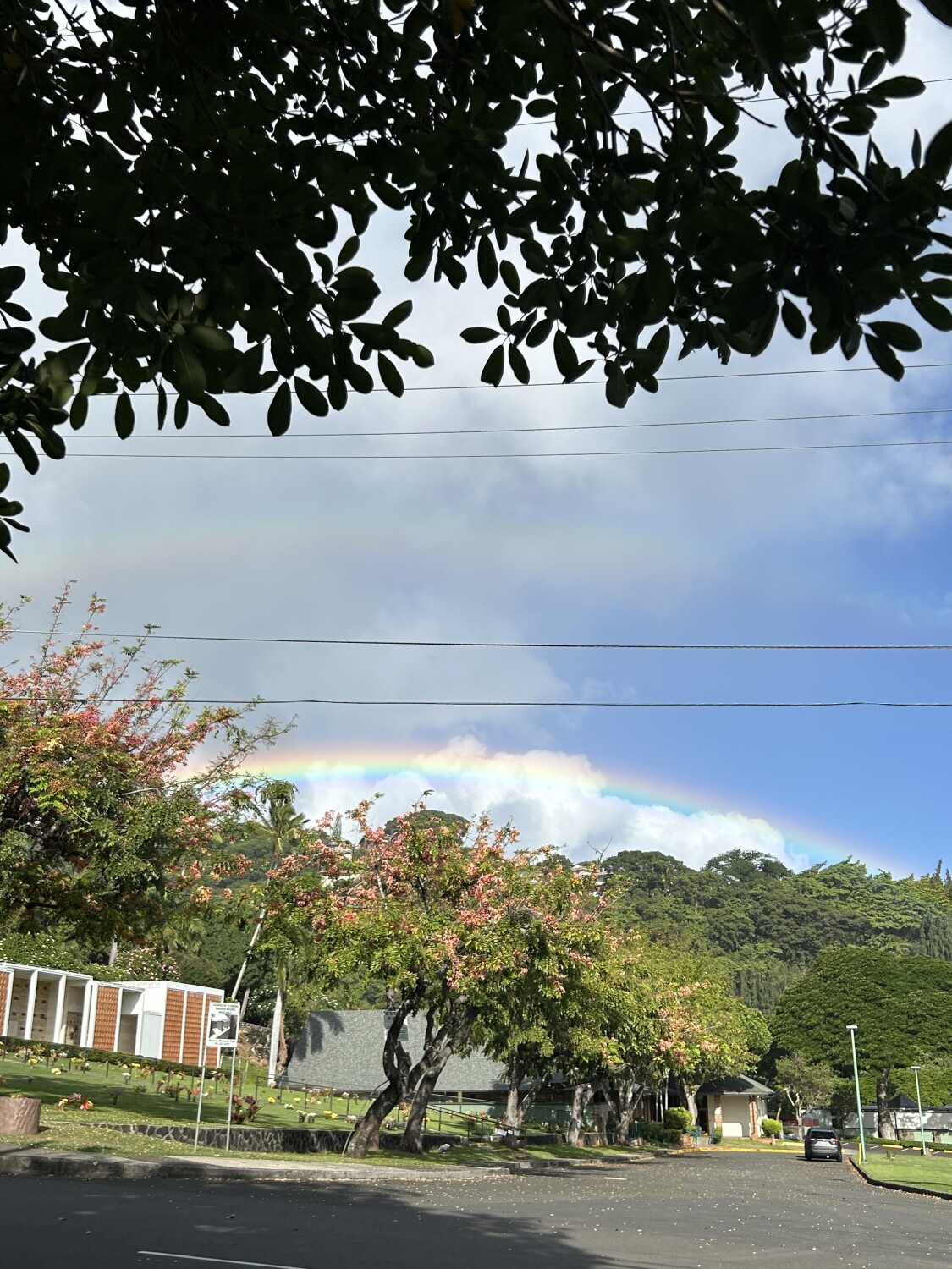Over The Rainbow