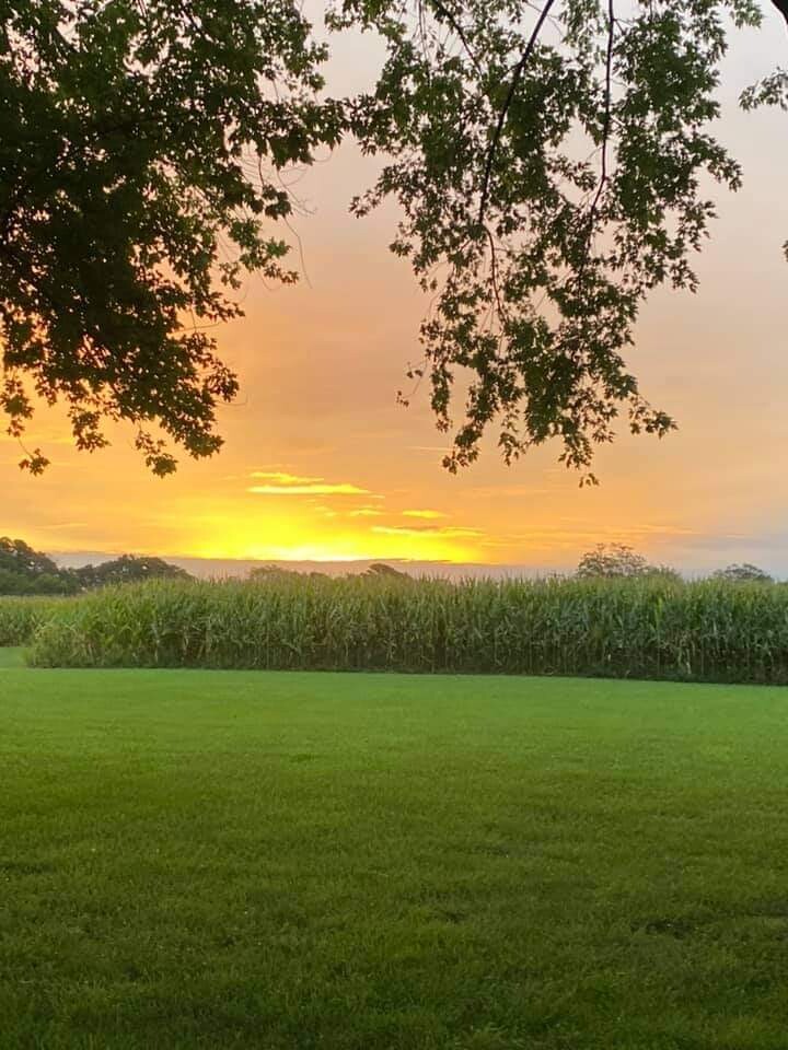 Sunrise in the country