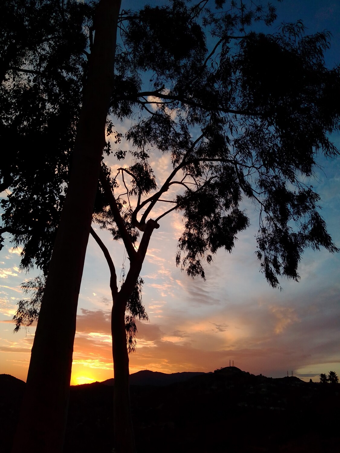 Sunset in Southern California