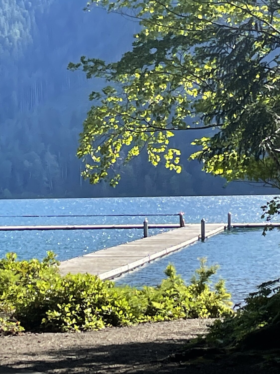 Lake in Washington - RV living