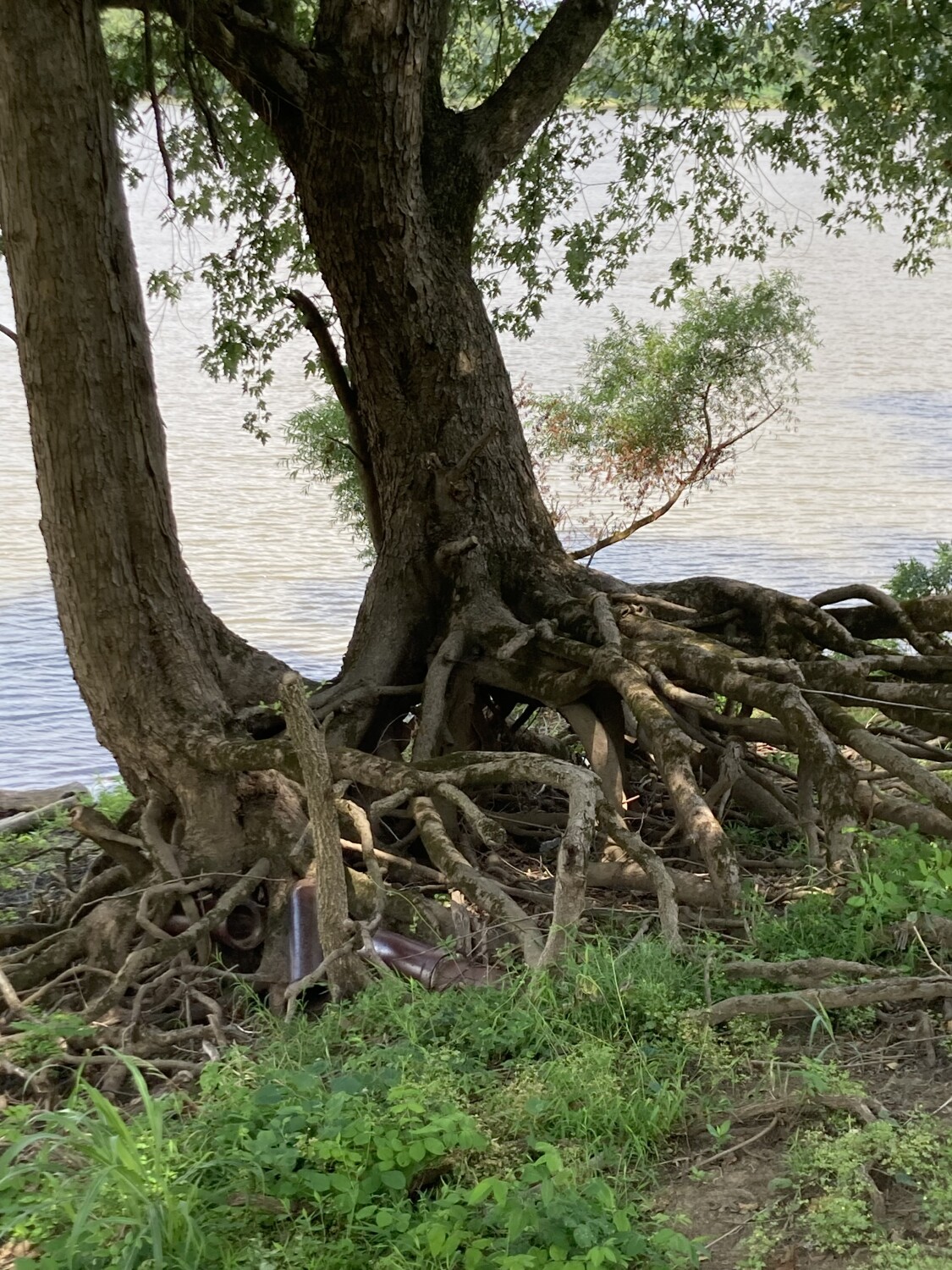 Holding On no Matter