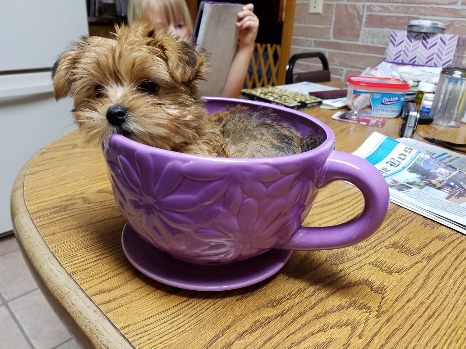 Ginger in a cup
