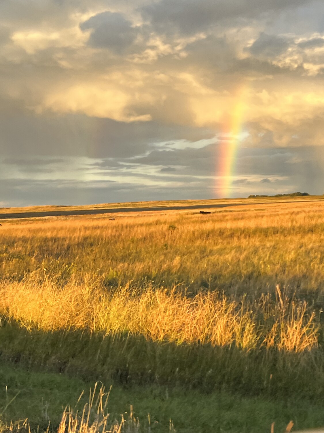 I can almost touch it