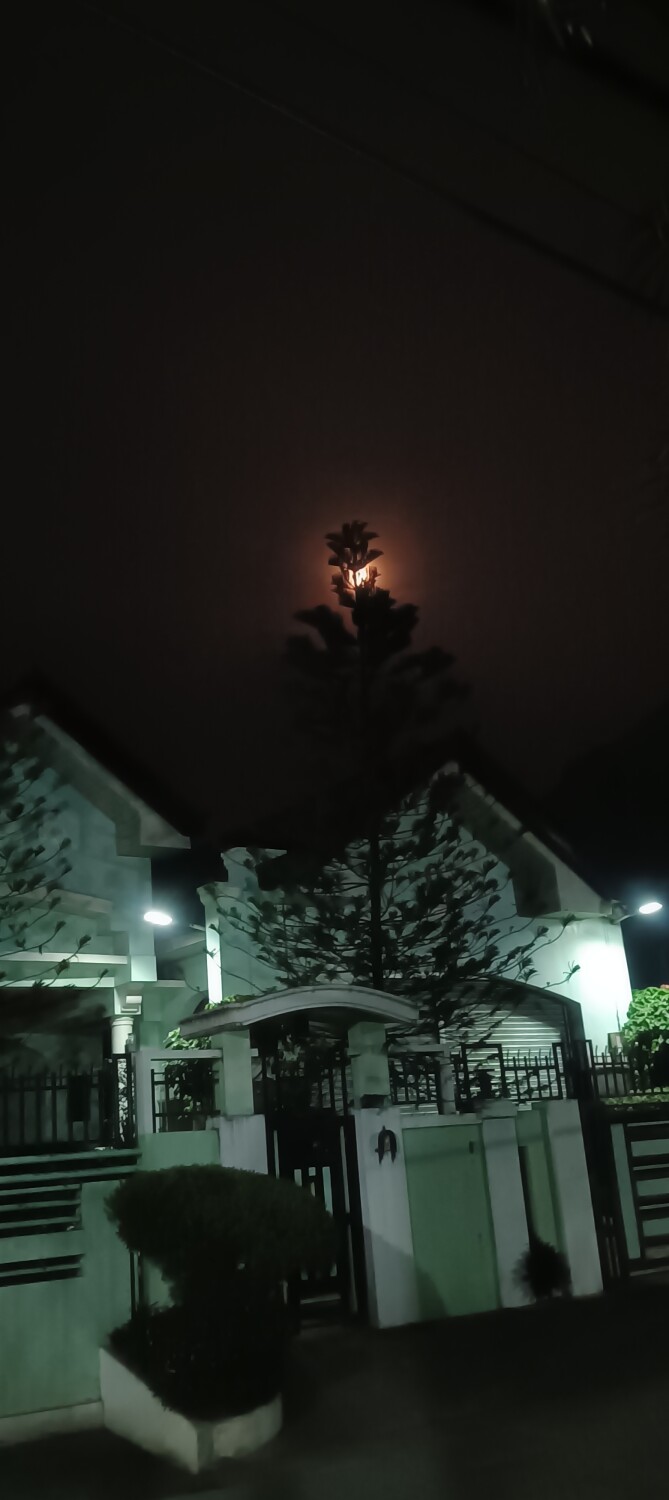 Red Moon Behind The Tree
