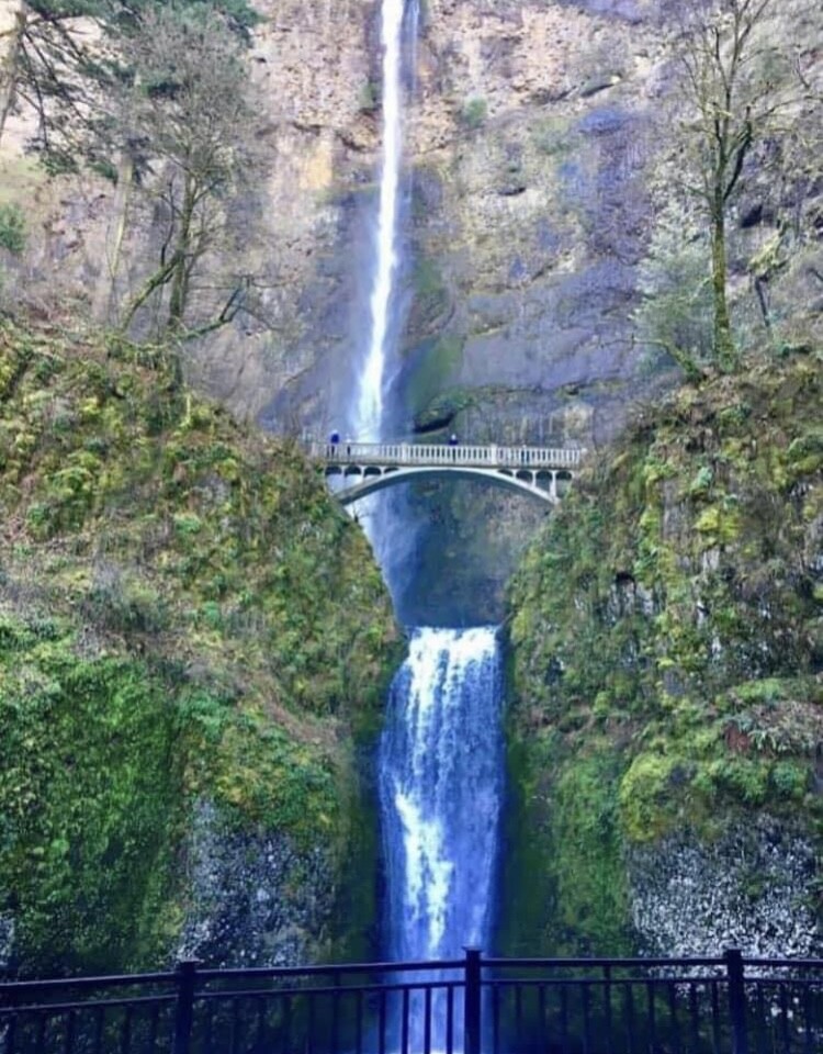 Multnomah falls