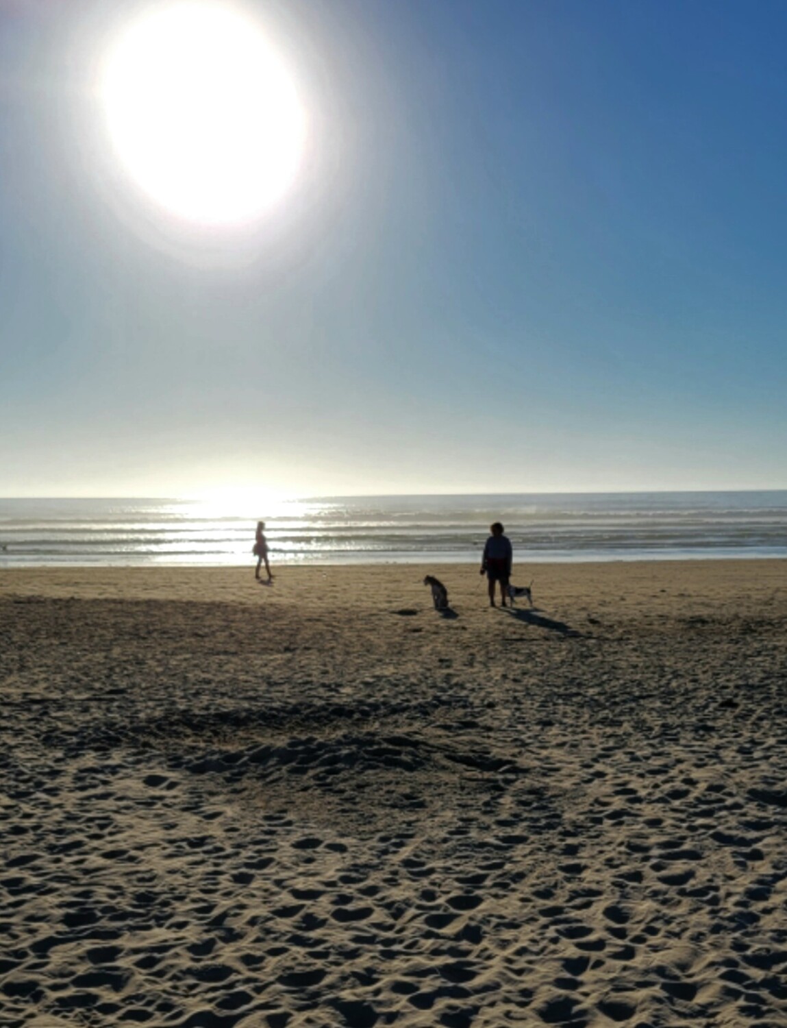 Peaceful Retreat " A man and his dogs "