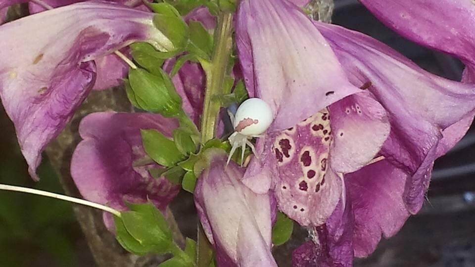 Product of my environment