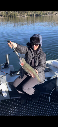 Michelle Barley Profile