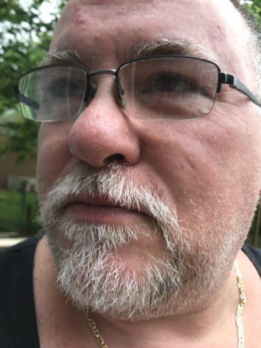 Stephen Hysner Profile