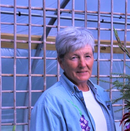 Tammy Wallace Profile