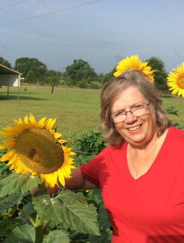 Mary Holland Profile