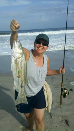 Cindy Curtis Profile