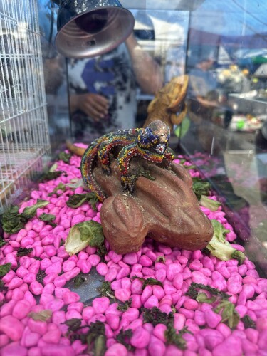 Santos Zamorano Profile