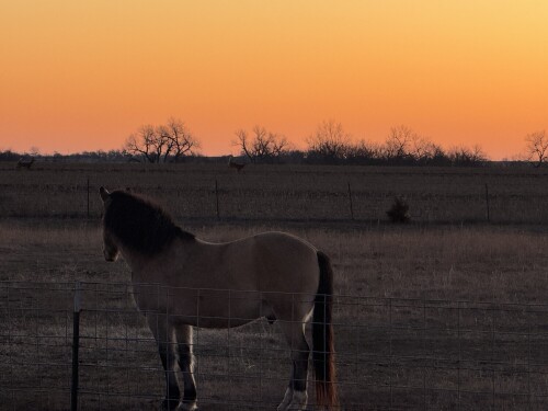 Entry Thumbnail