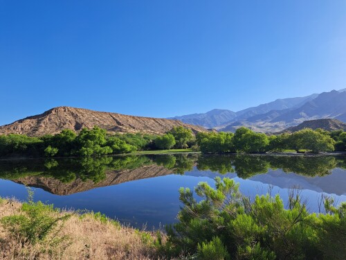 Entry Thumbnail