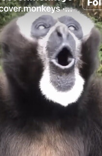 Freddy Blasco Profile