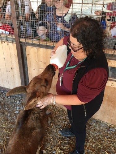 Juanita Zetino Profile