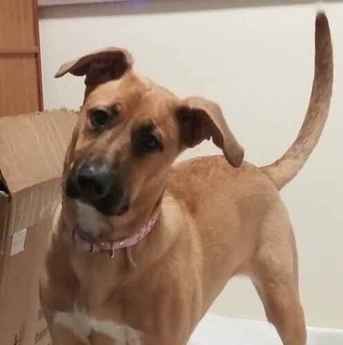 Julie Weingand Profile