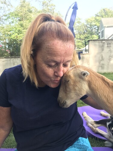 Lisa Whitcombe-Beebe Profile