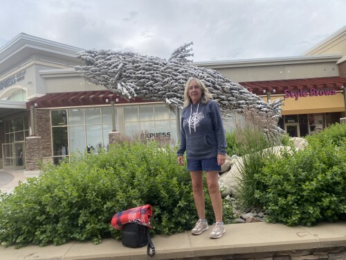 Michele soden Profile