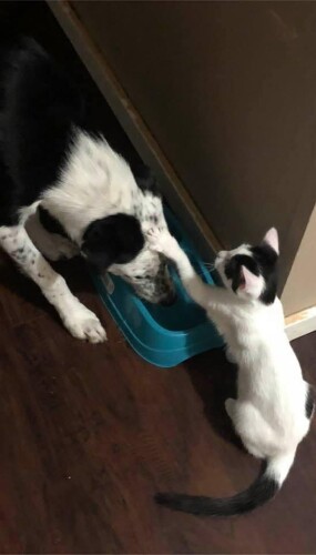 Cristy Haskell Profile