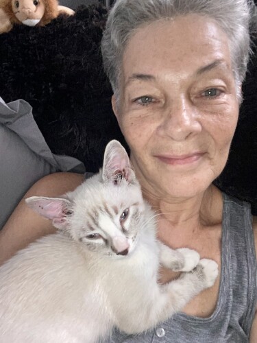 Jennifer Oliva Profile