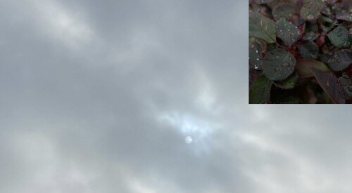 რზბპბ 57 Profile