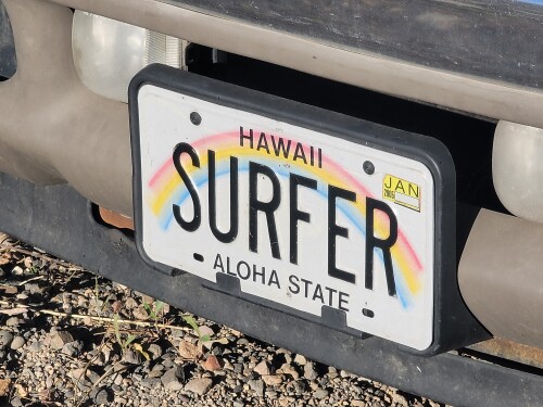 Hilton Ishimoto Profile