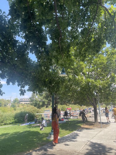 Tashi Dolker Profile