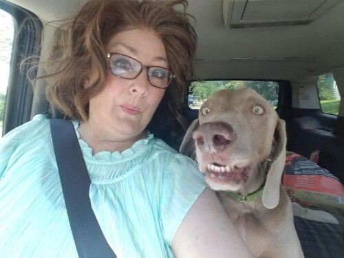 Dione Sackman Profile