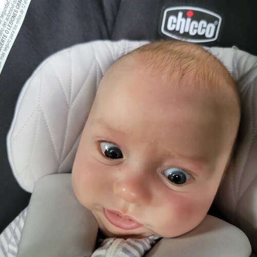 Mark Reynolds Profile