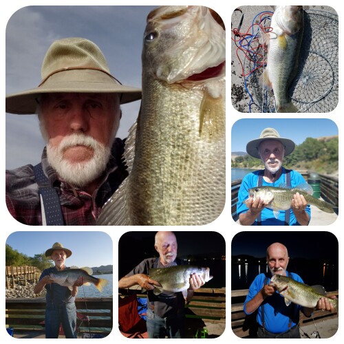 Michael Mcdonald Profile