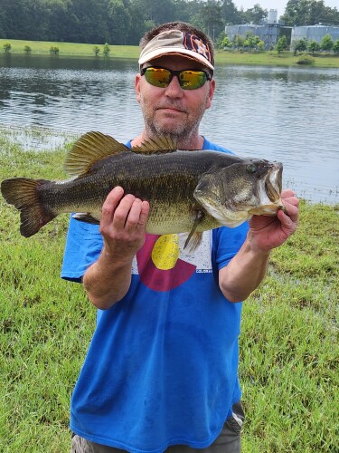 Cecil Larkin Profile