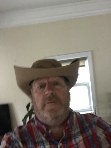 David Campion Profile