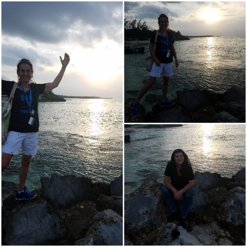 Chani Offsey Profile