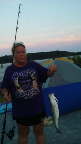 Terry Martinez Profile